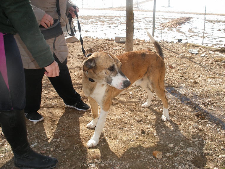 multimedia-foto45430-507-3