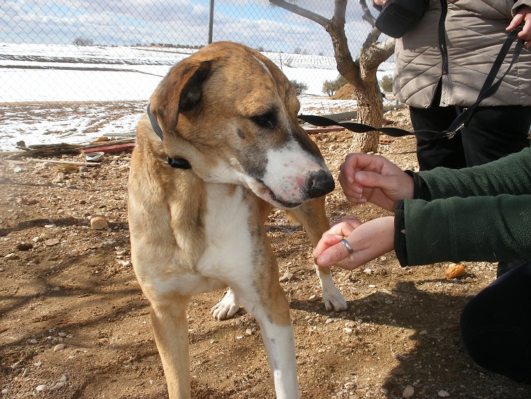 multimedia-foto45432-521-3