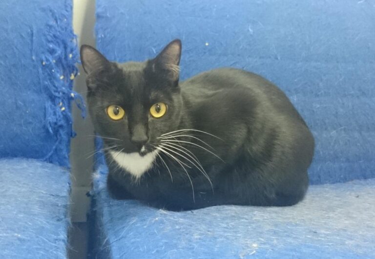 multimedia-foto45498-125-3