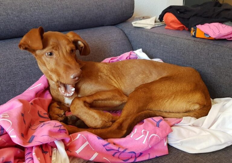 multimedia-foto45544-247-3