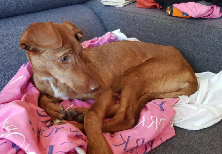 multimedia-foto45545-248-3