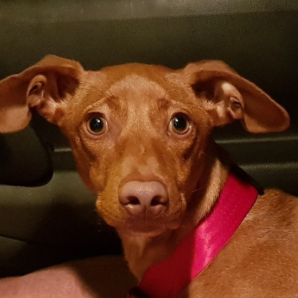 multimedia-foto45547-249-3