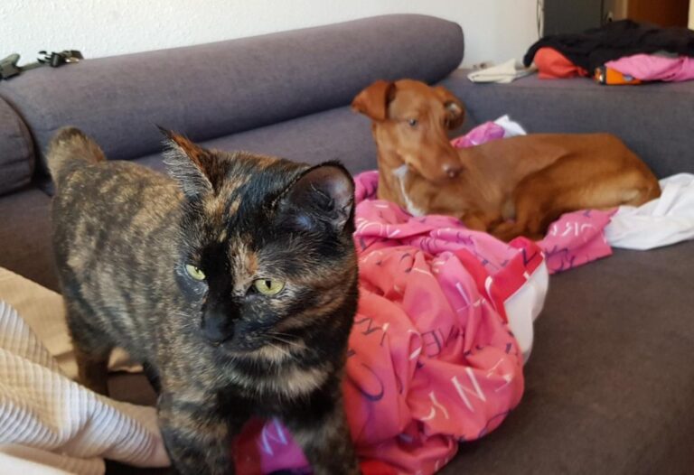 multimedia-foto45548-277-3