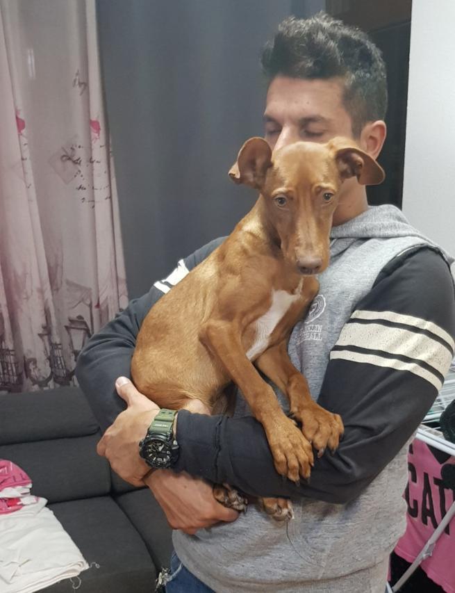 multimedia-foto45549-278-3