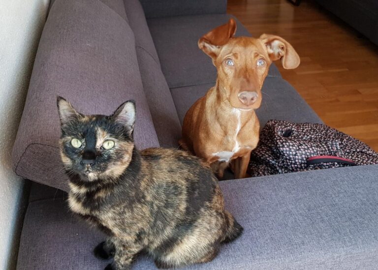 multimedia-foto45551-279-3