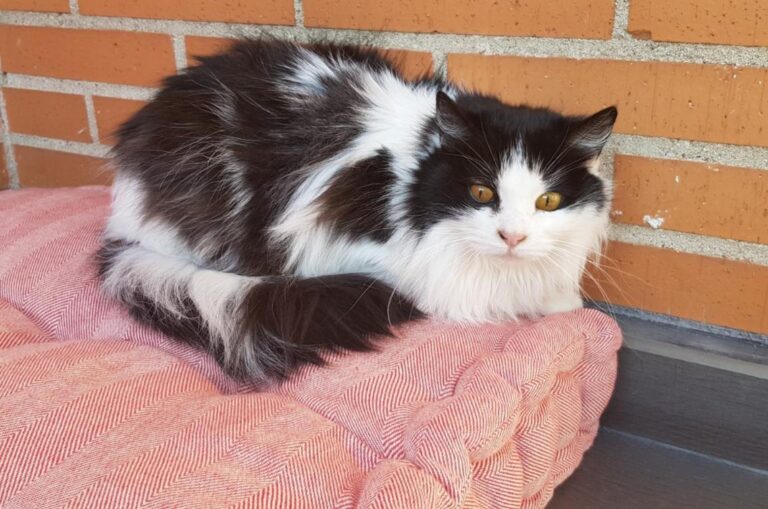 multimedia-foto45556-823-3