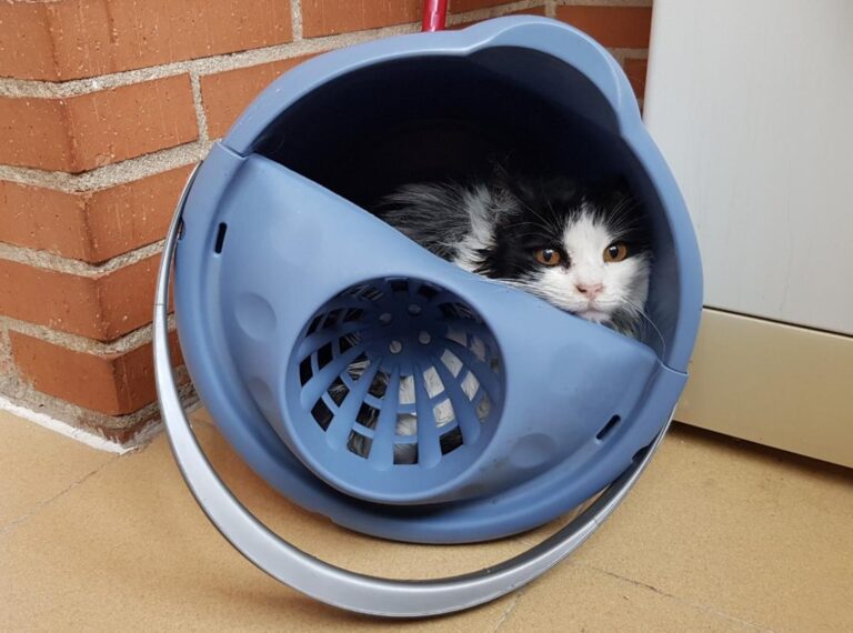 multimedia-foto45558-824-3