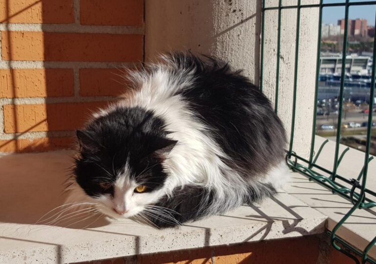 multimedia-foto45559-825-3