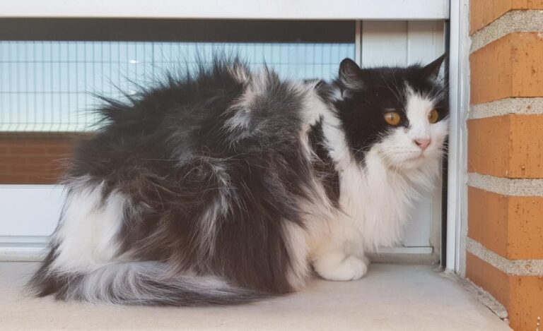 multimedia-foto45561-877-3