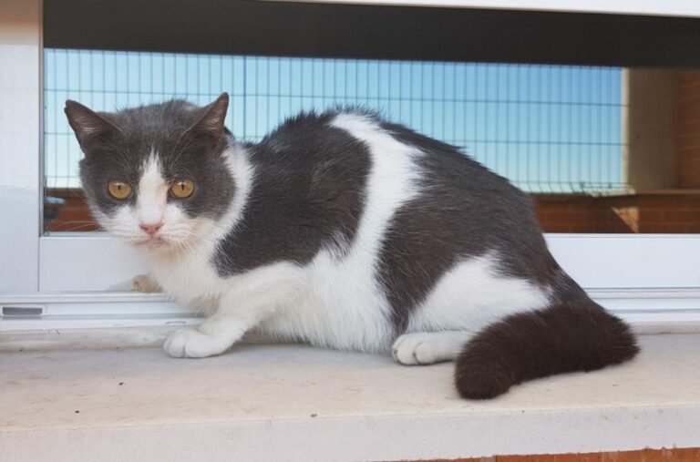 multimedia-foto45566-12-3