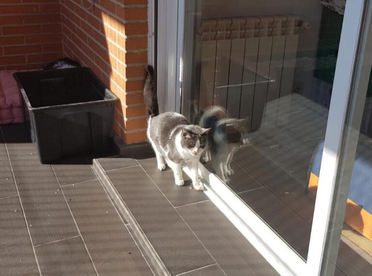 multimedia-foto45568-13-3