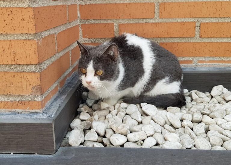 multimedia-foto45570-63-3