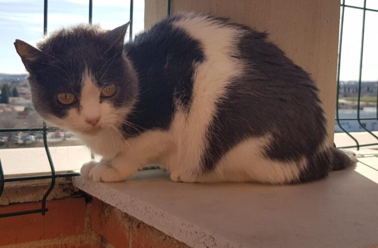 multimedia-foto45571-63-3