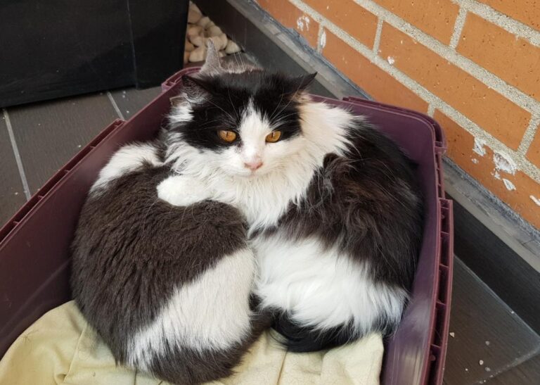 multimedia-foto45574-94-3