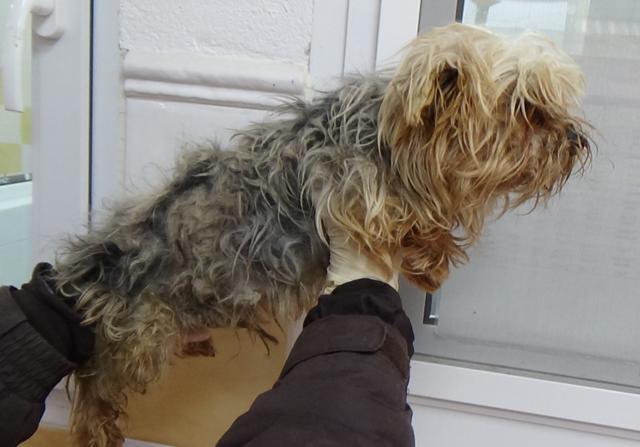 multimedia-foto45647-884-3