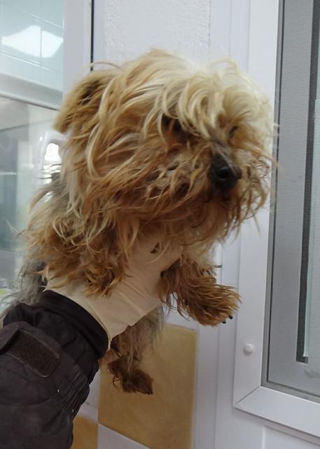 multimedia-foto45648-885-3