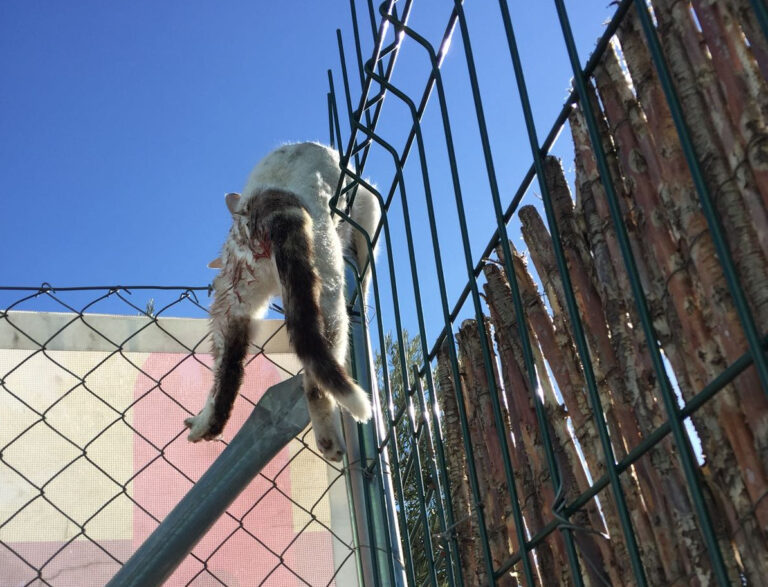 multimedia-foto45649-538-3