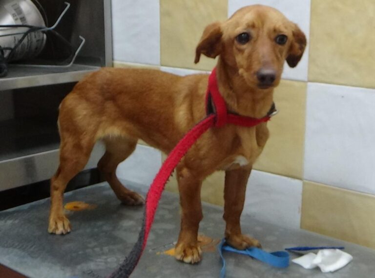 multimedia-foto45657-384-5