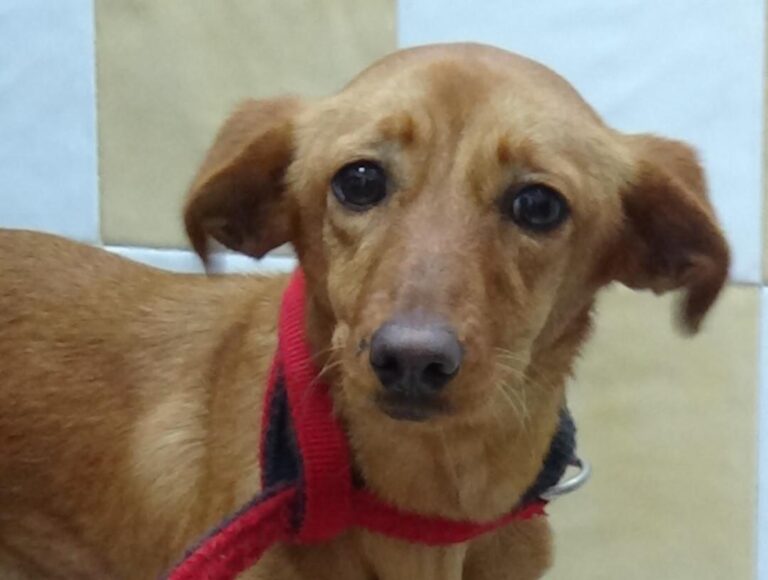 multimedia-foto45659-385-5