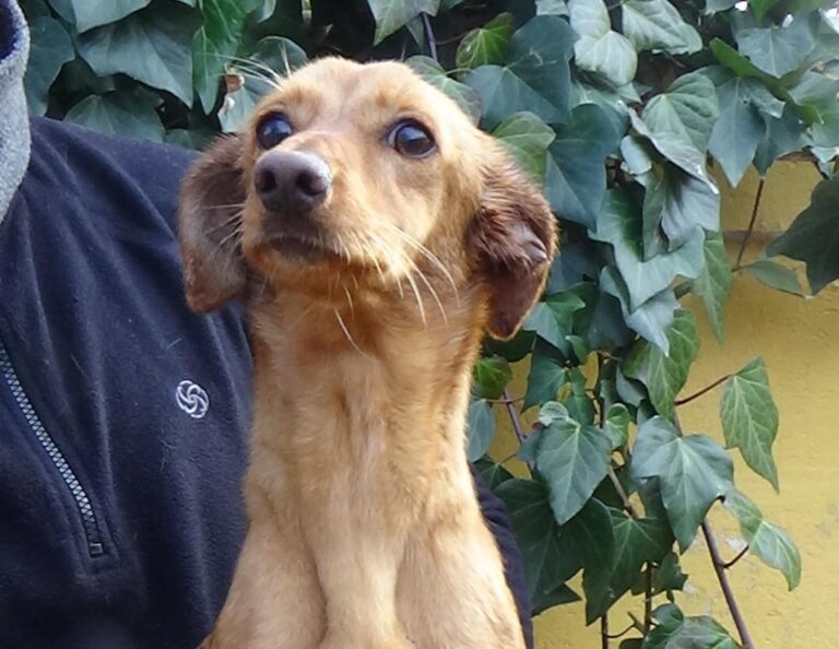 multimedia-foto45661-414-5