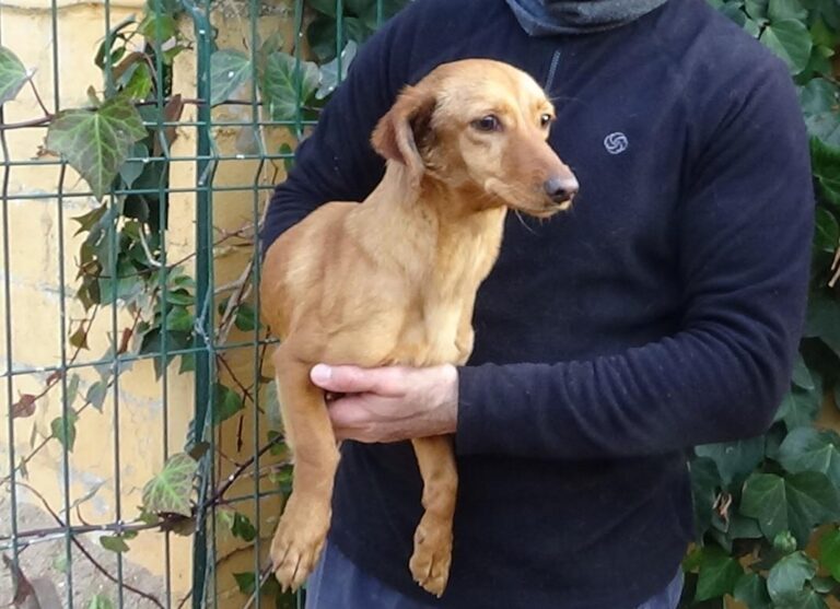 multimedia-foto45662-414-5