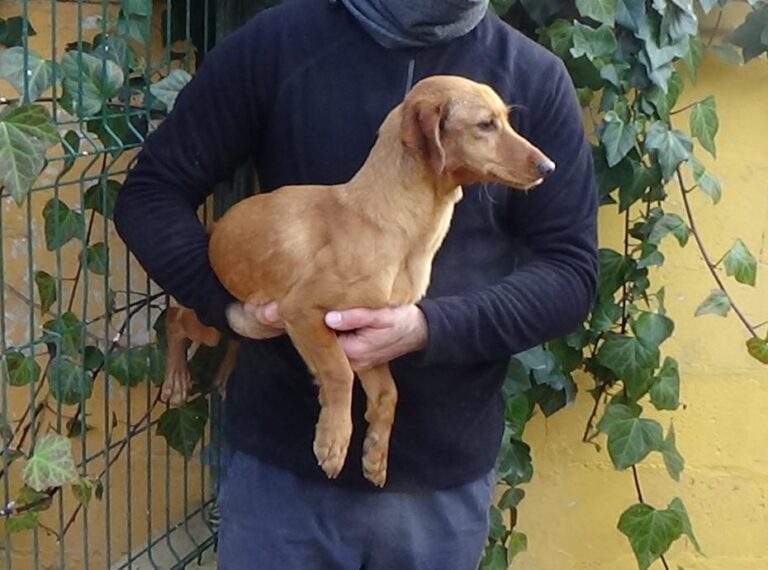 multimedia-foto45663-415-5