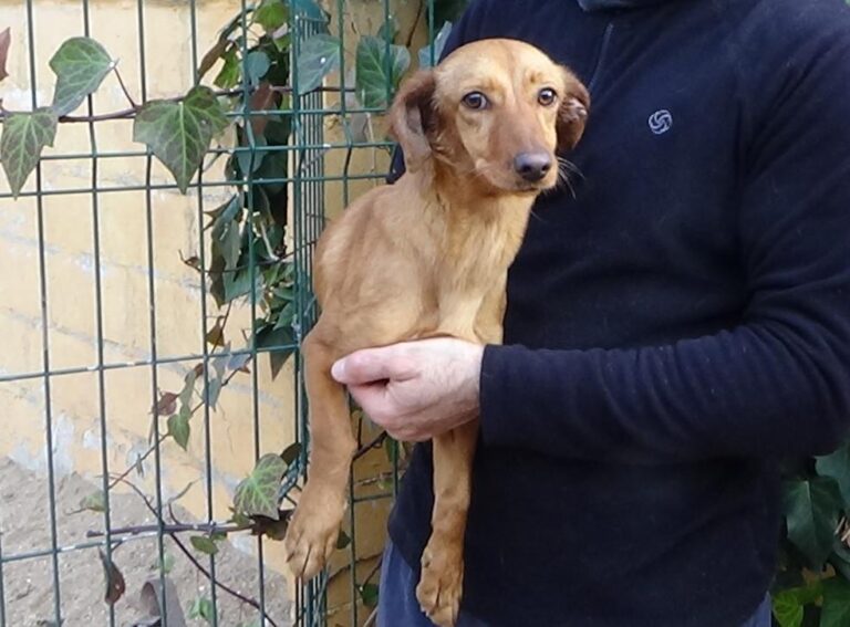 multimedia-foto45664-415-5