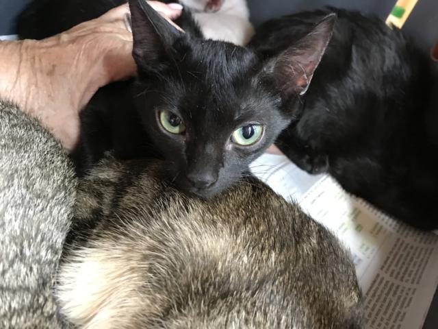 multimedia-foto45691-159-5