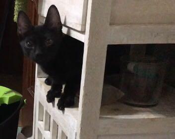 multimedia-foto45692-160-5