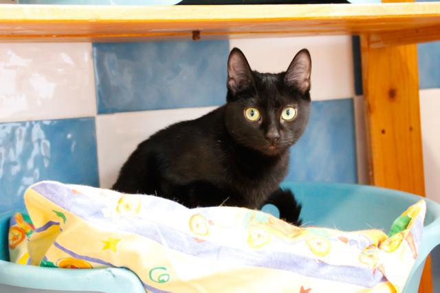 multimedia-foto45693-160-5