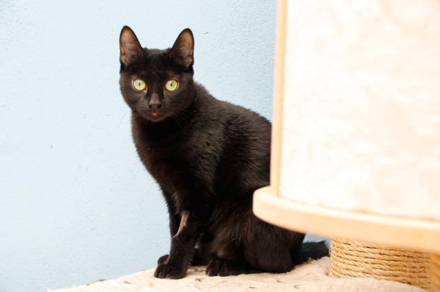 multimedia-foto45695-163-5