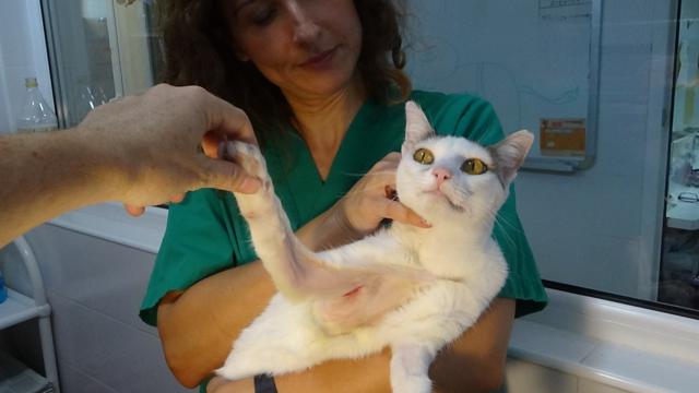 multimedia-foto45701-606-3