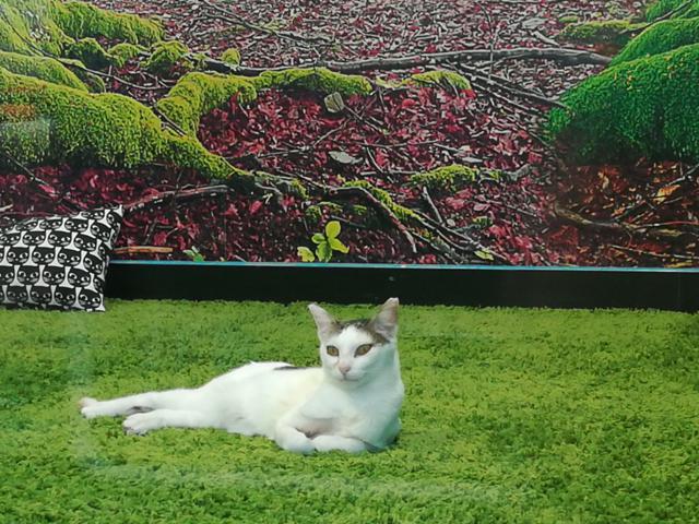 multimedia-foto45702-607-3