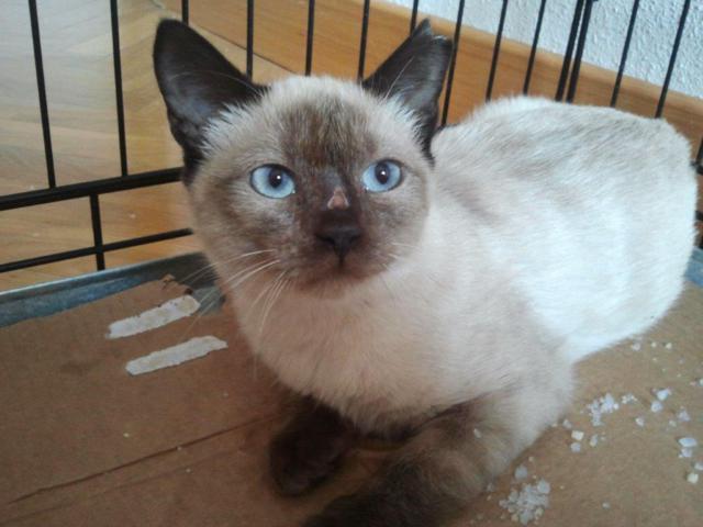 multimedia-foto45729-788-3