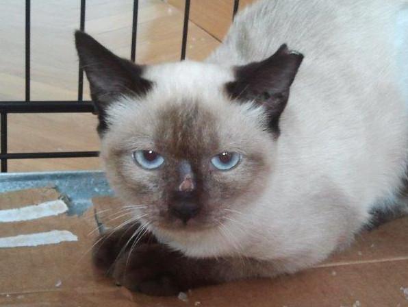 multimedia-foto45730-789-3