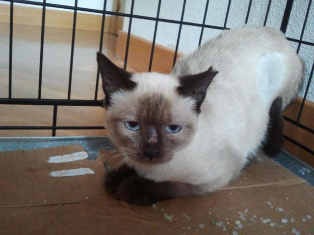 multimedia-foto45731-789-3