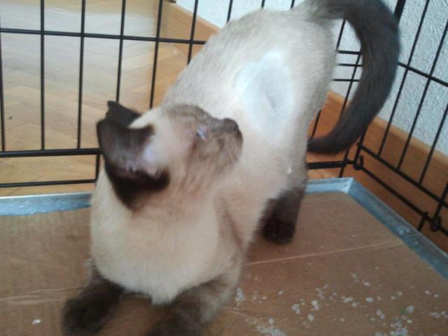 multimedia-foto45736-792-3