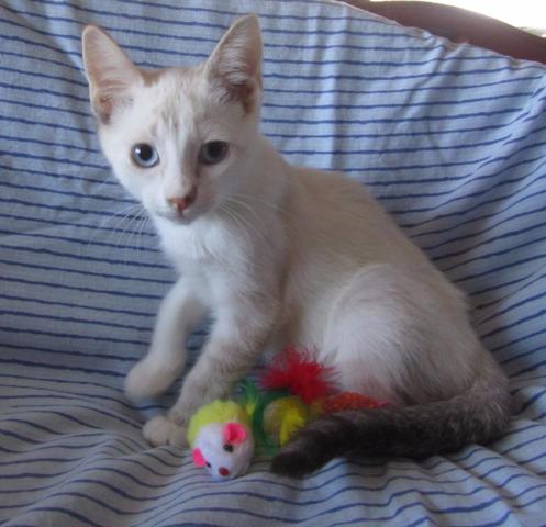 multimedia-foto45752-675-3