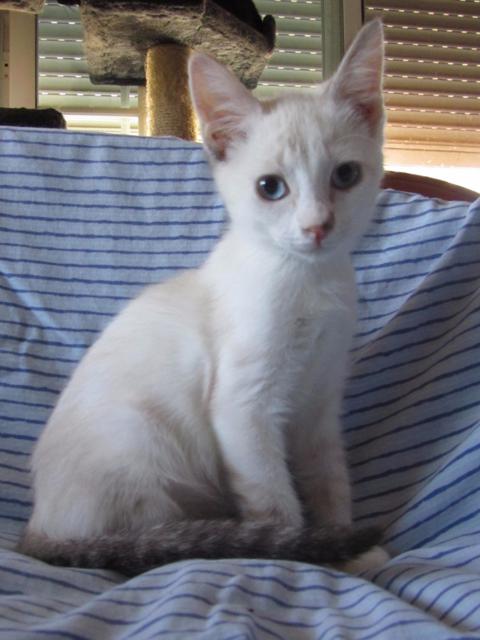 multimedia-foto45754-676-3