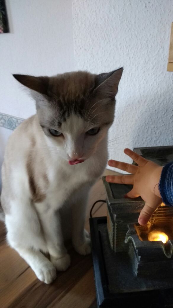 multimedia-foto45779-170-3