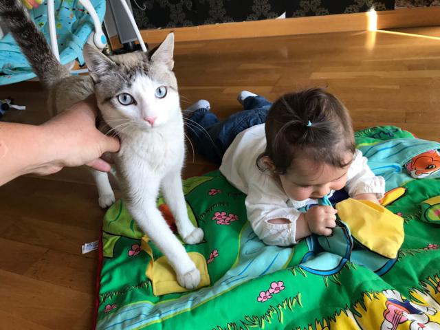 multimedia-foto45781-175-3