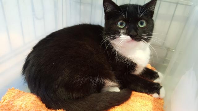 multimedia-foto45790-482-3