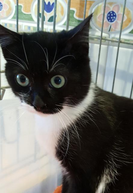 multimedia-foto45791-483-3