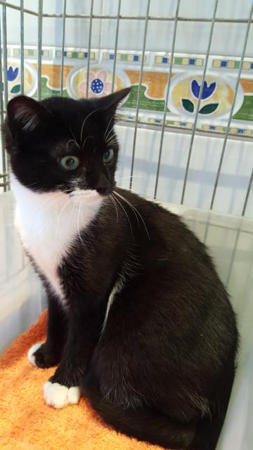 multimedia-foto45792-483-3