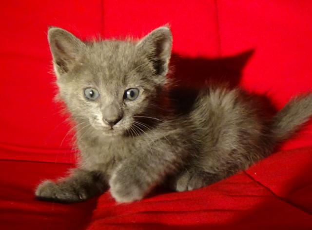 multimedia-foto45795-770-3