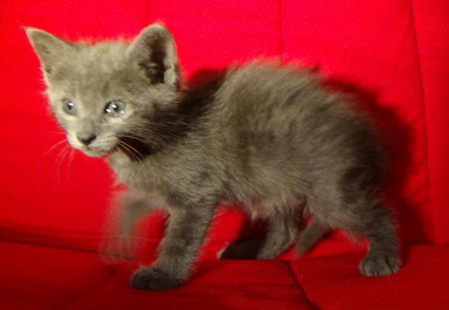 multimedia-foto45796-771-3