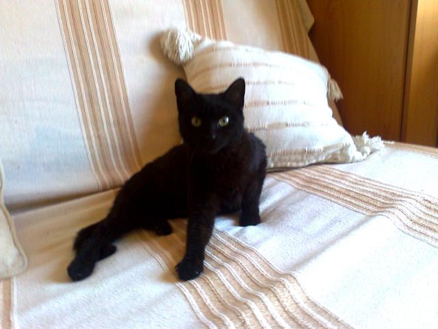 multimedia-foto45807-249-3