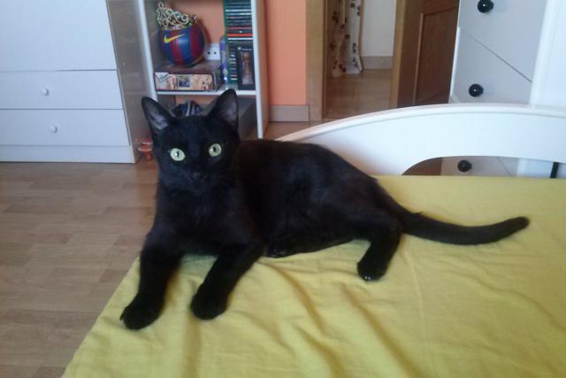 multimedia-foto45810-253-3