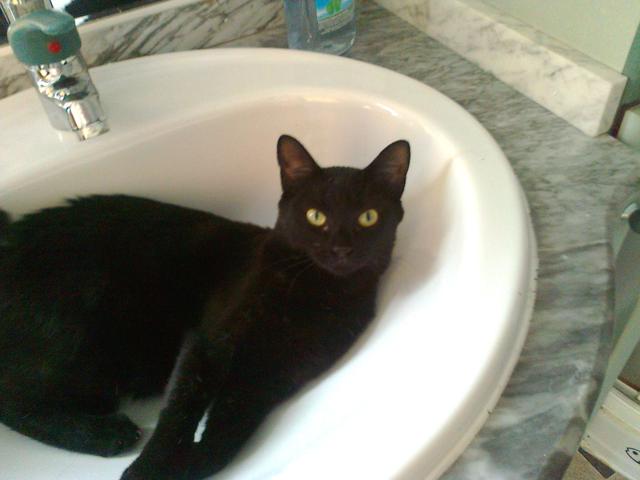 multimedia-foto45812-254-3