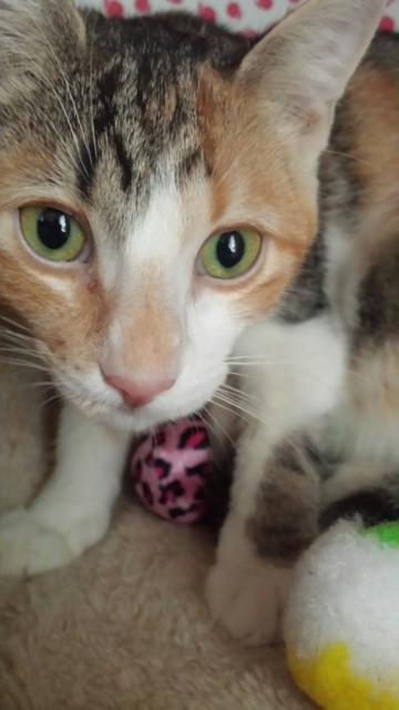 multimedia-foto45821-429-3